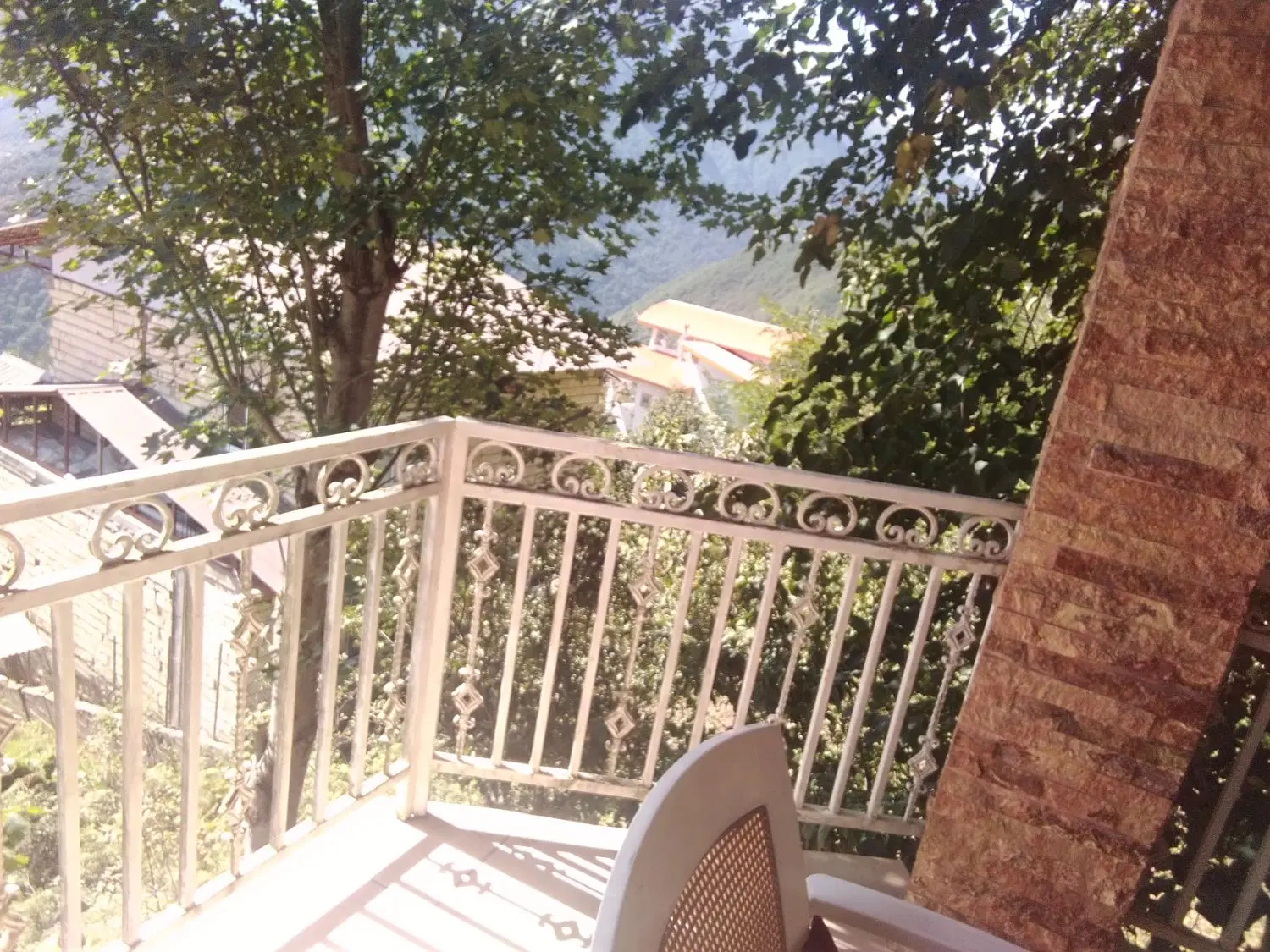 زمین باغی