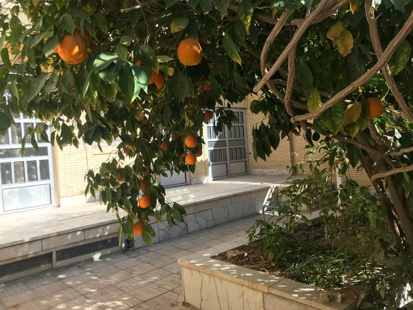 ساختمان مسکونی محدوده جوادالائمه