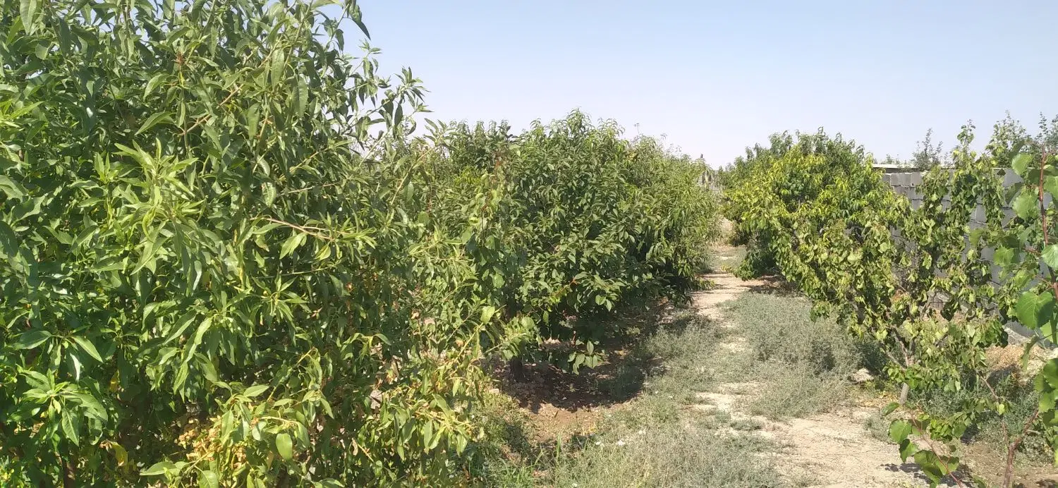 باغ درشهر وایقان ۷۰۰ متر بابرق