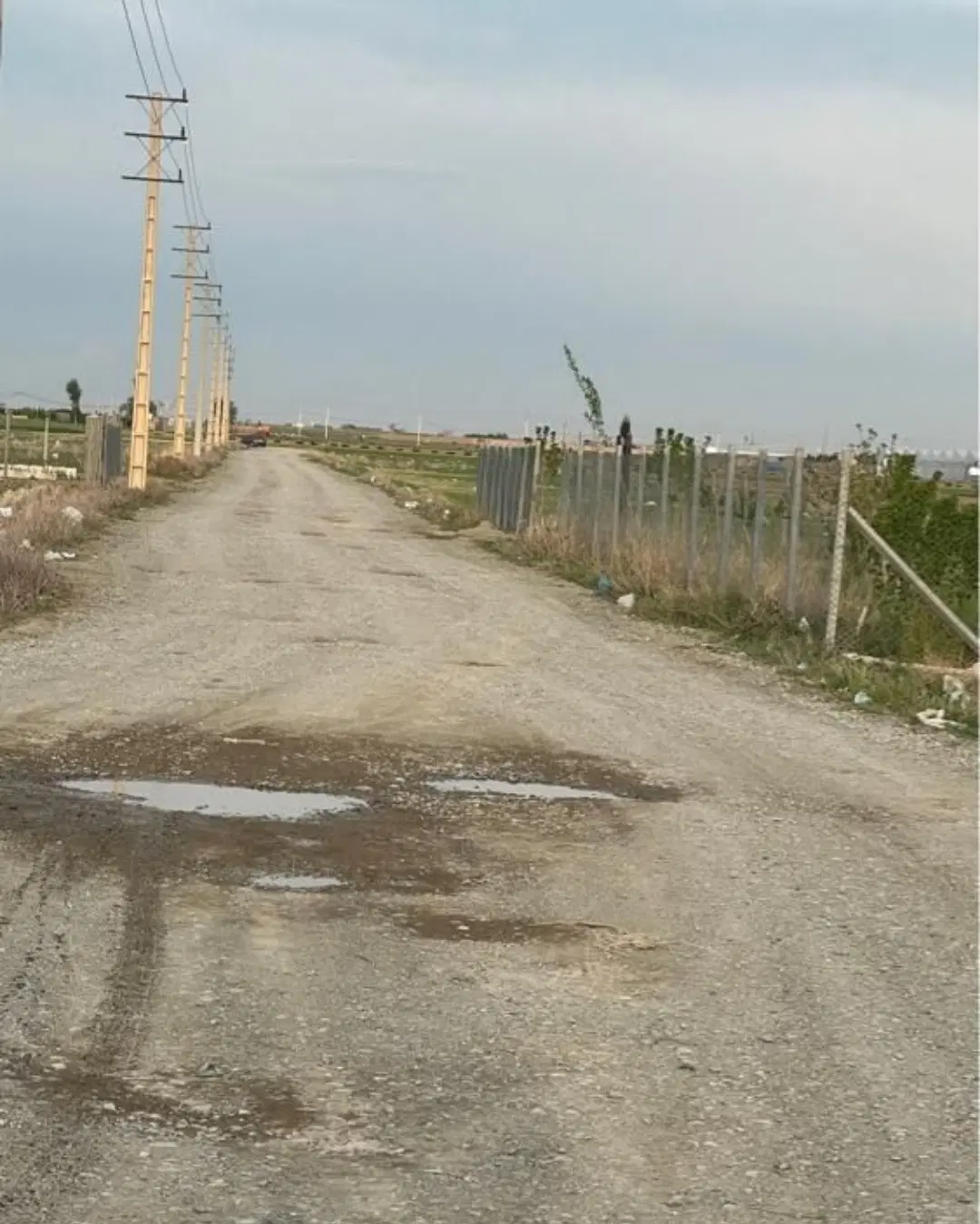 زمین کشاورزی و باغچه