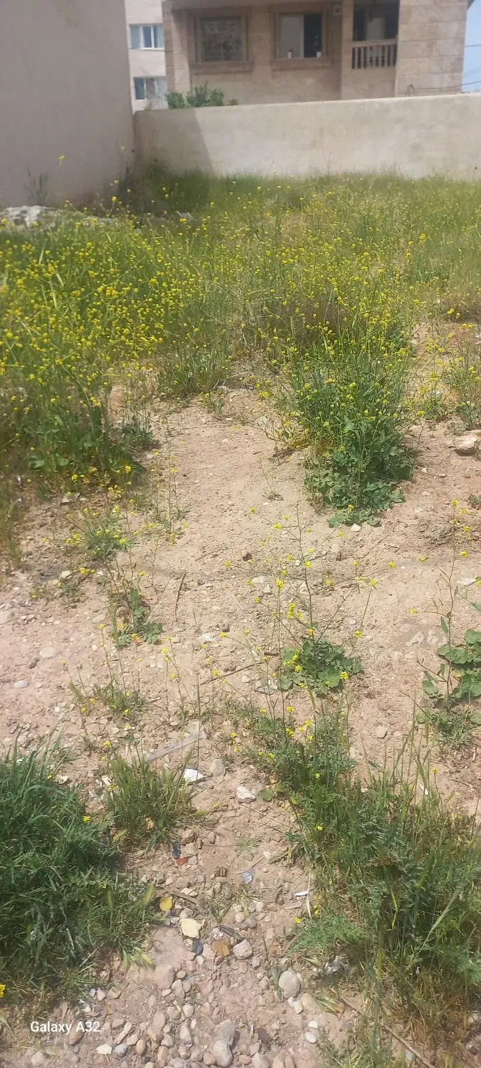 زمین مسکونی ۱۲۰متری شاپورجان