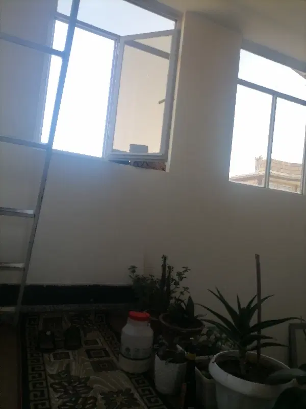 خانه اجاره در خیابان علامه مجلسی