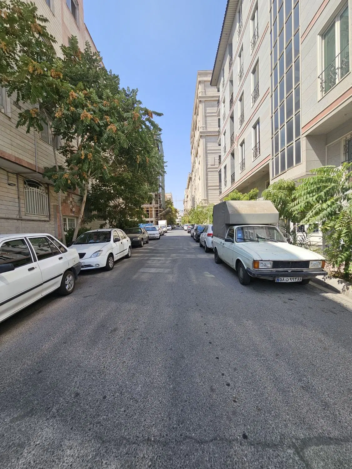 بریانک ۵۰ متر فول ۱۰ ساله
