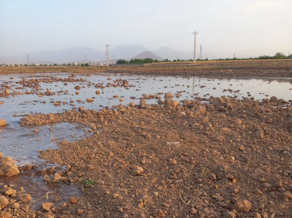فروش زمین کشاورزی با یک ساعت آب روستایی فرفهان