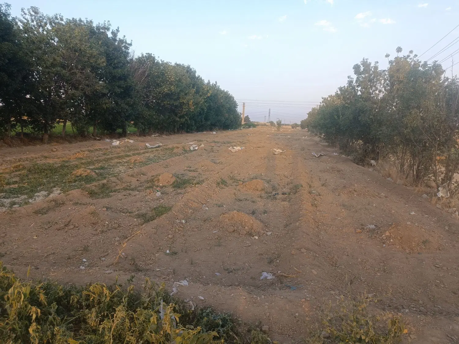 زمین کشاورزی