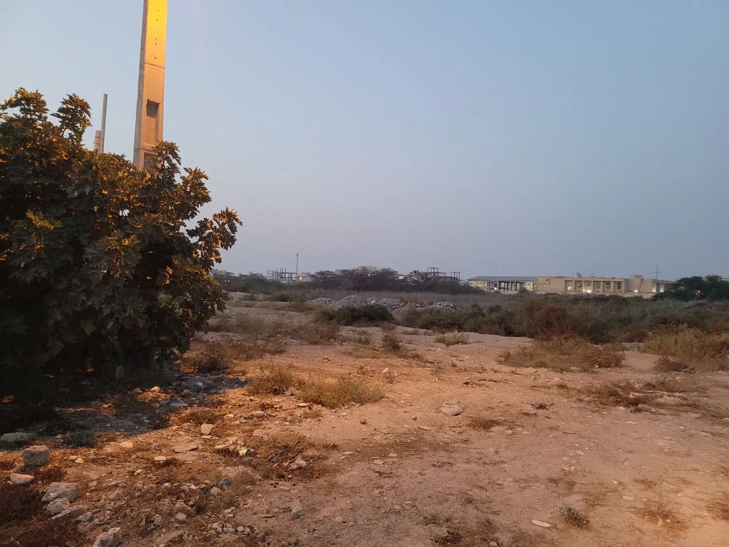 زمین۳۱۲ متر