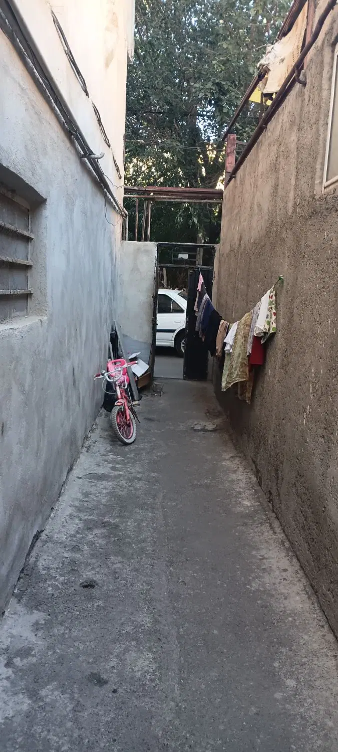 حیاط