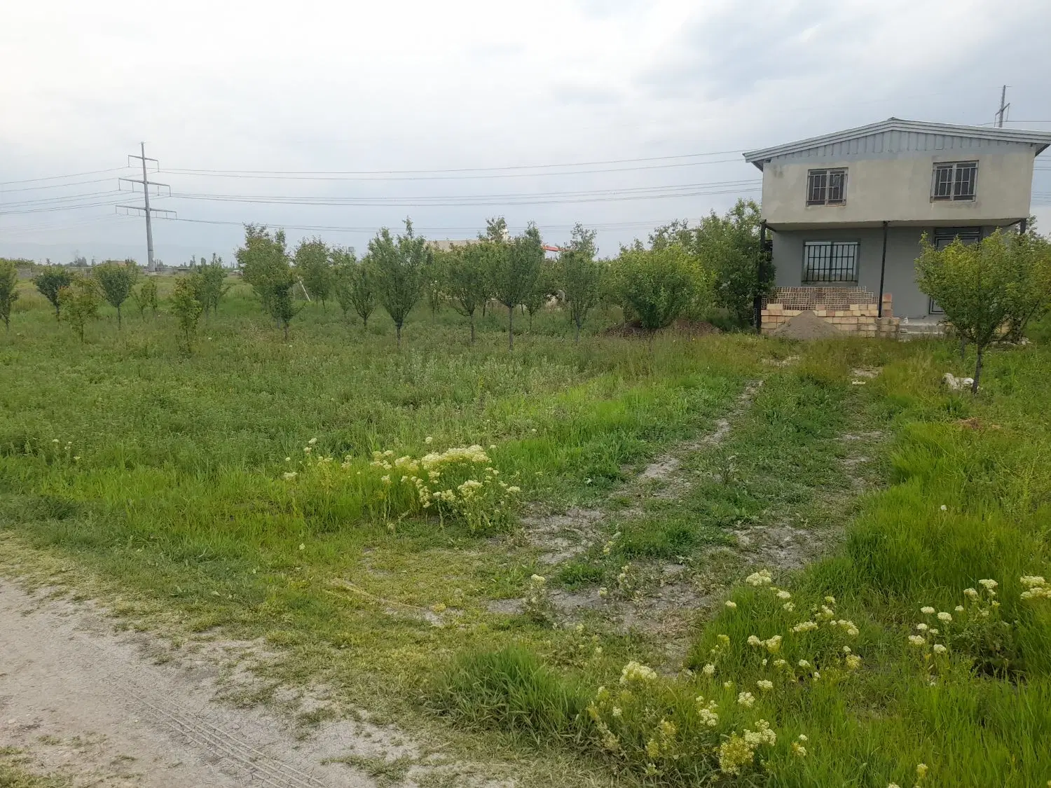 باغچه در روستای سعید لو