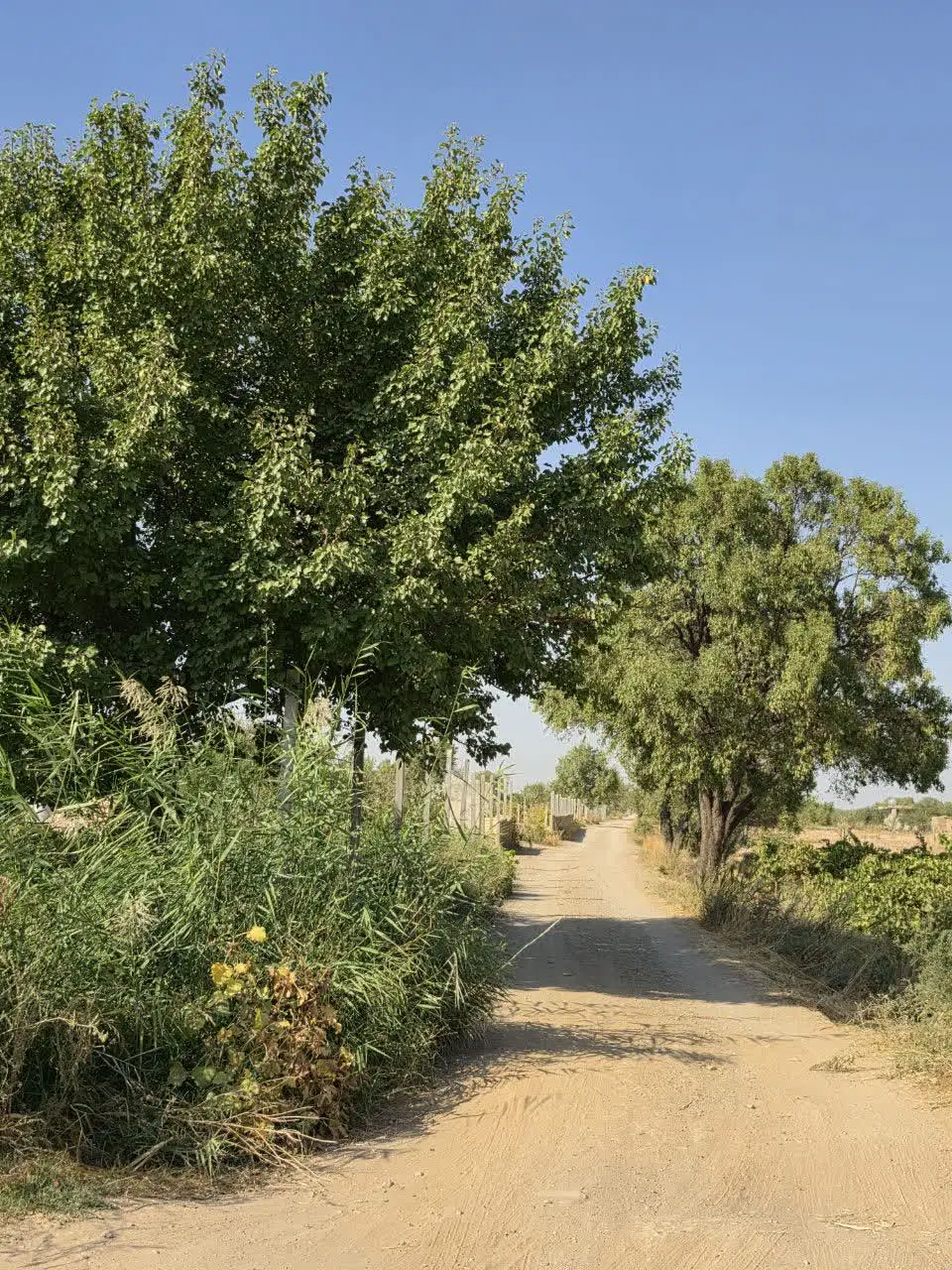 هزار متر زمین آماده ساخت با اقساط ۳ ماه بدون بهره