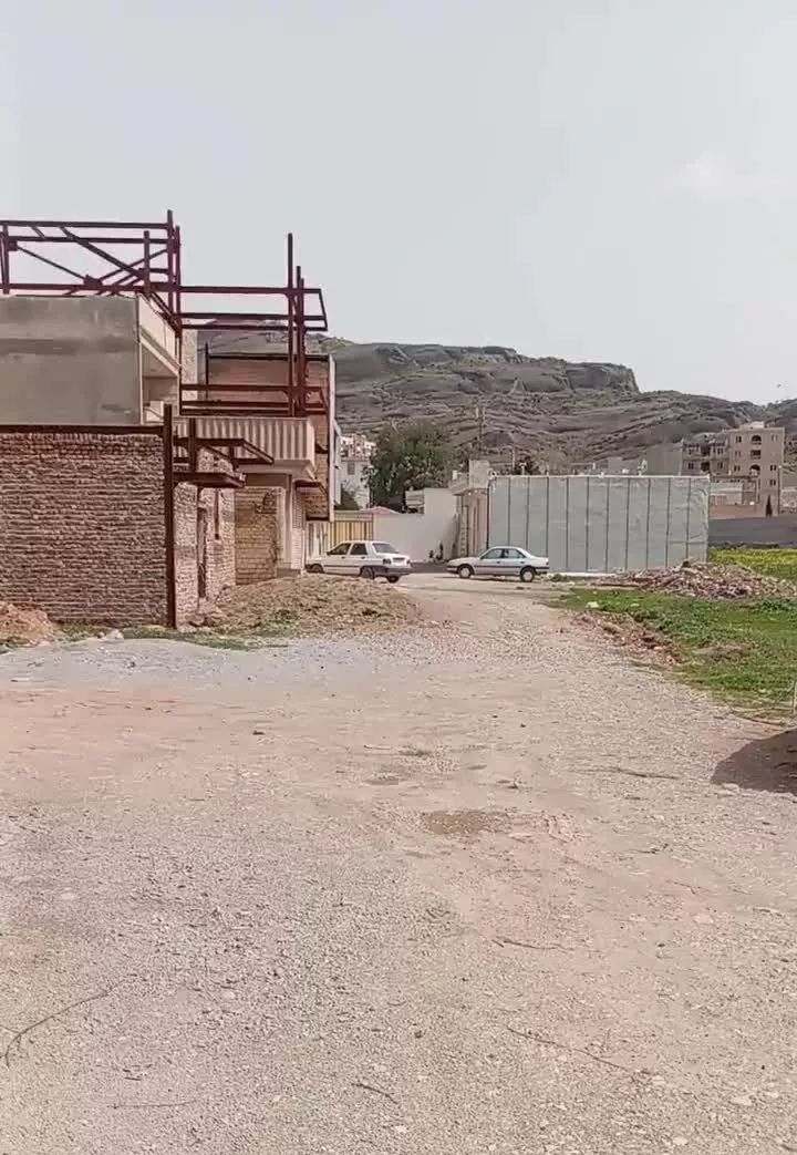 زمین پاپی خالدار