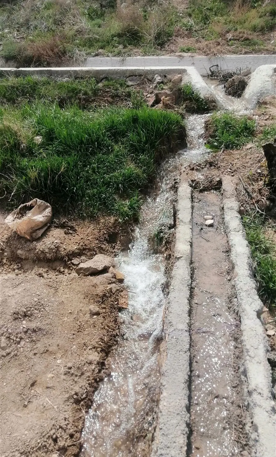 زمین باغی، و کشاورز
