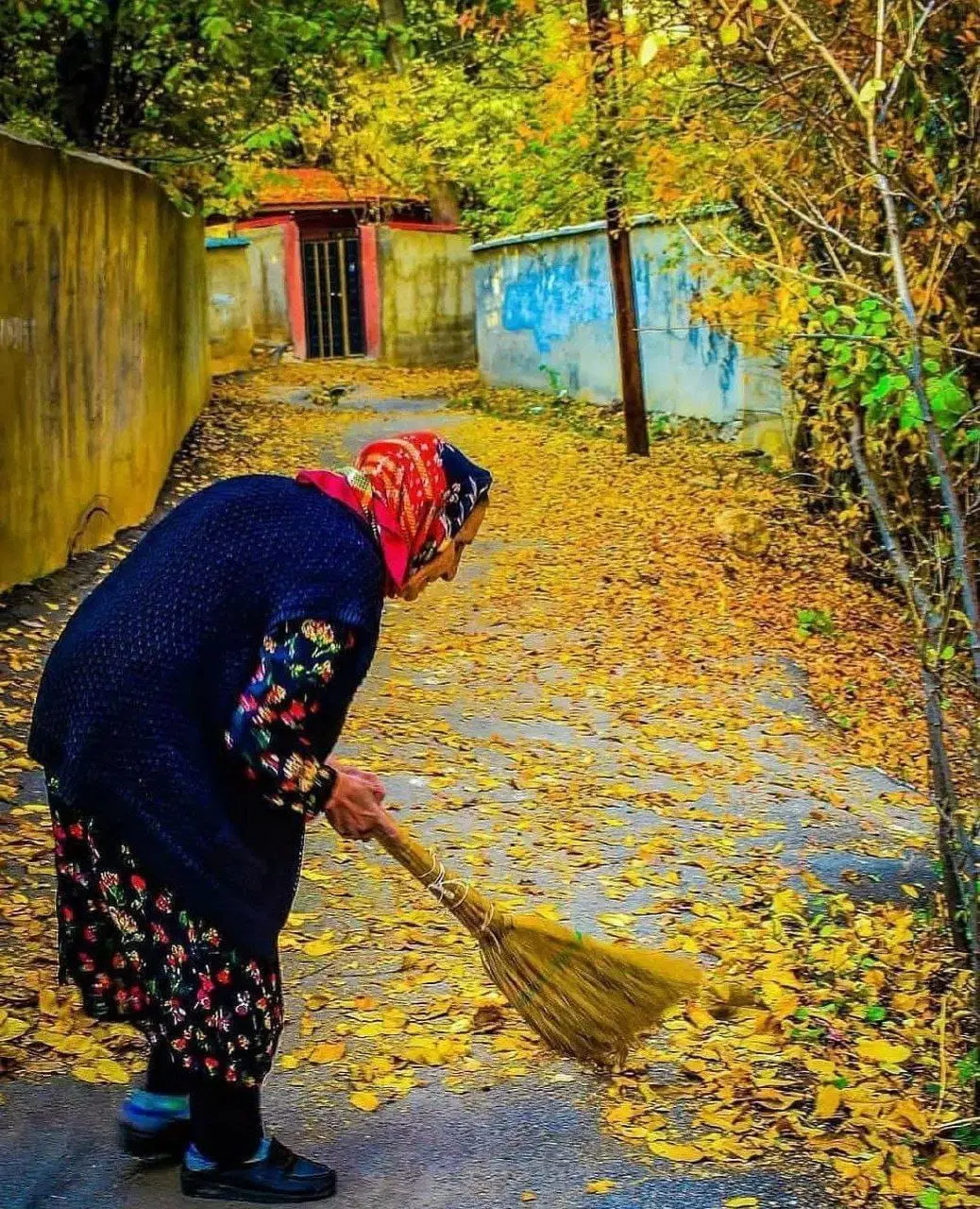 همخونه خانم