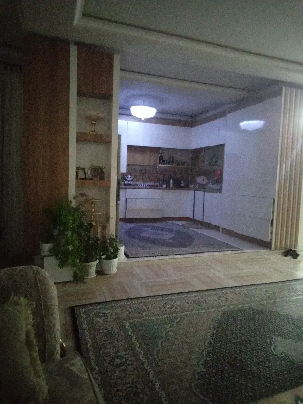 بازنشسته هستم بخاطر کارم همخونه میشم
