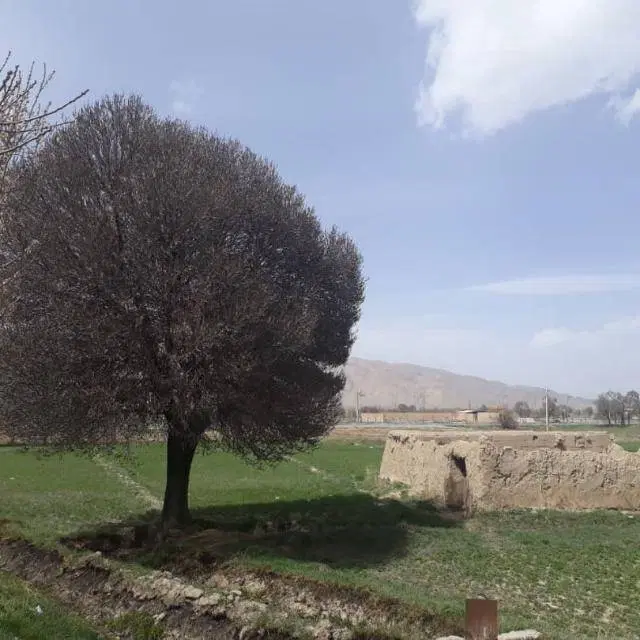 فروش زمین مسکونی