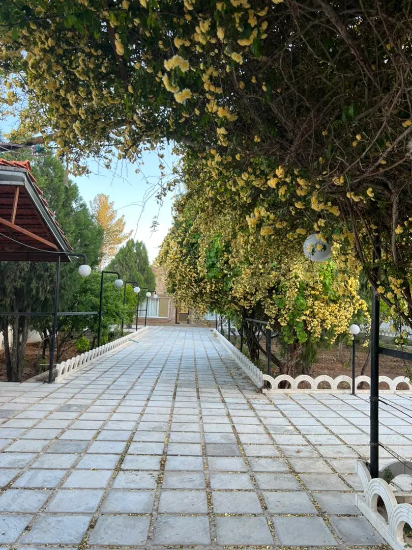 باغچه گودگویم