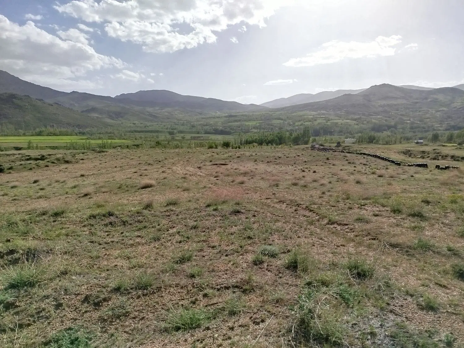 زمین کشاورزی