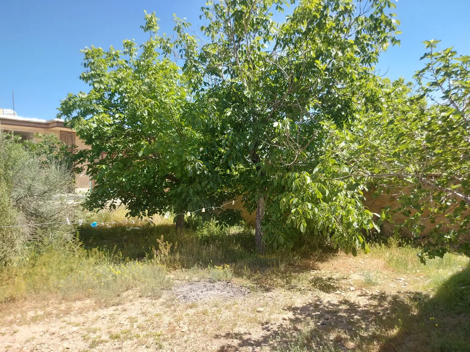 فروش منزل ویلایی روستای کلستان