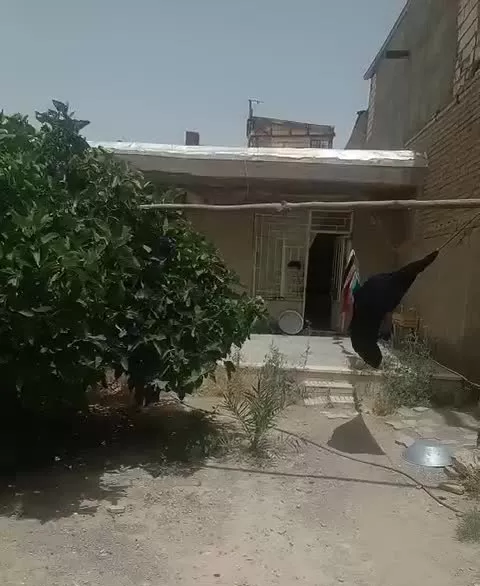 فاروش منزل قدیمی