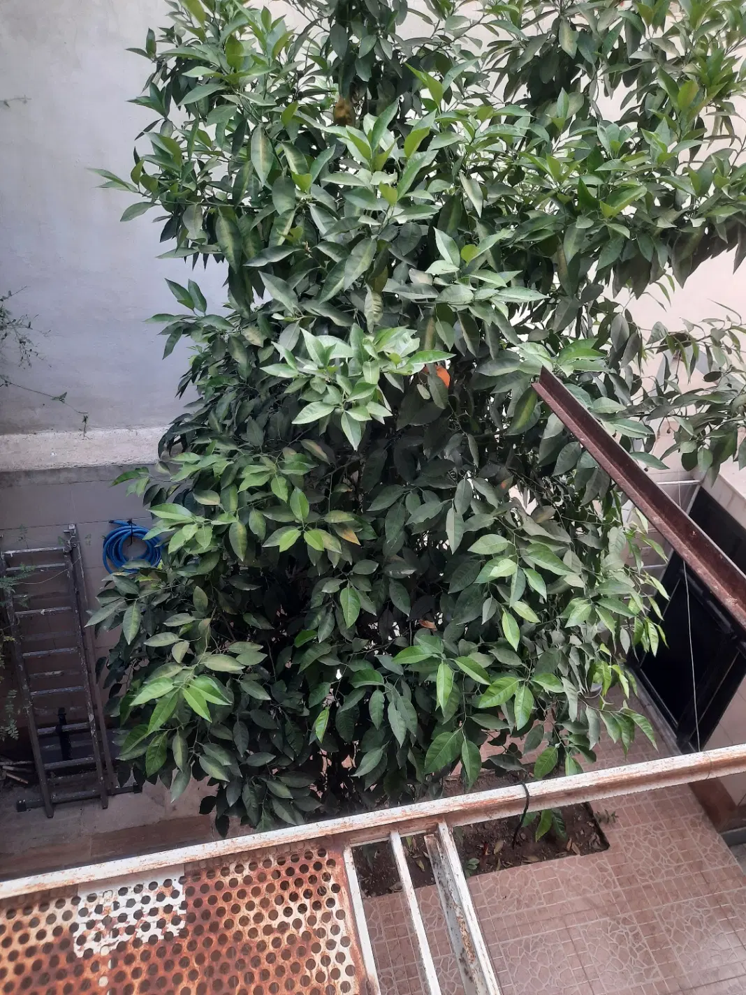 خانه ۱۲۰ متری نیایش