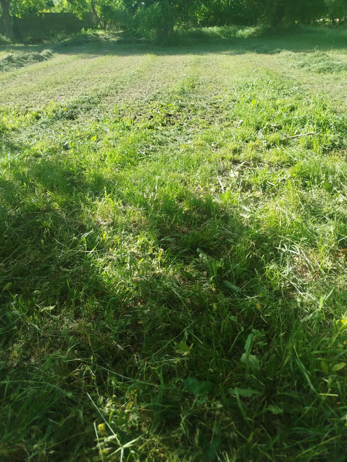 زمین کشاورزی  دوبر جاده اصلی