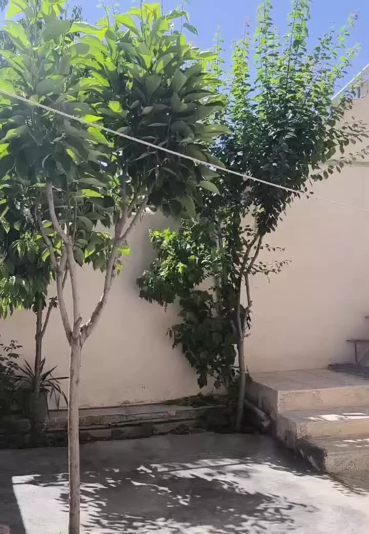 خانه ویلایی ۳ واحد