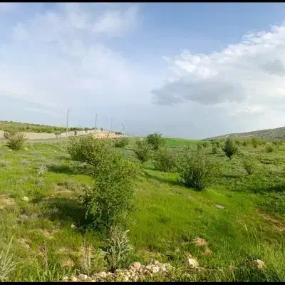 زمین باغ شهری کودیان(مجتمع دستان)