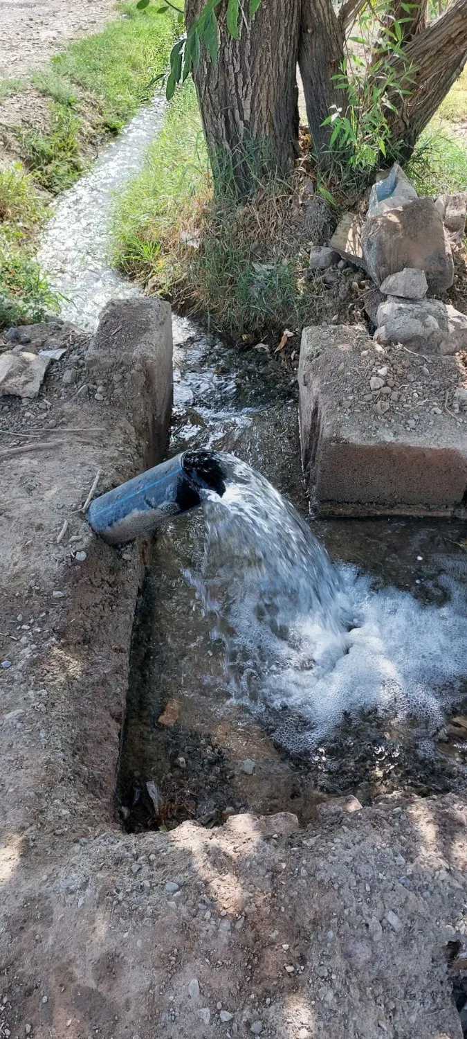 فروش باغ پسته