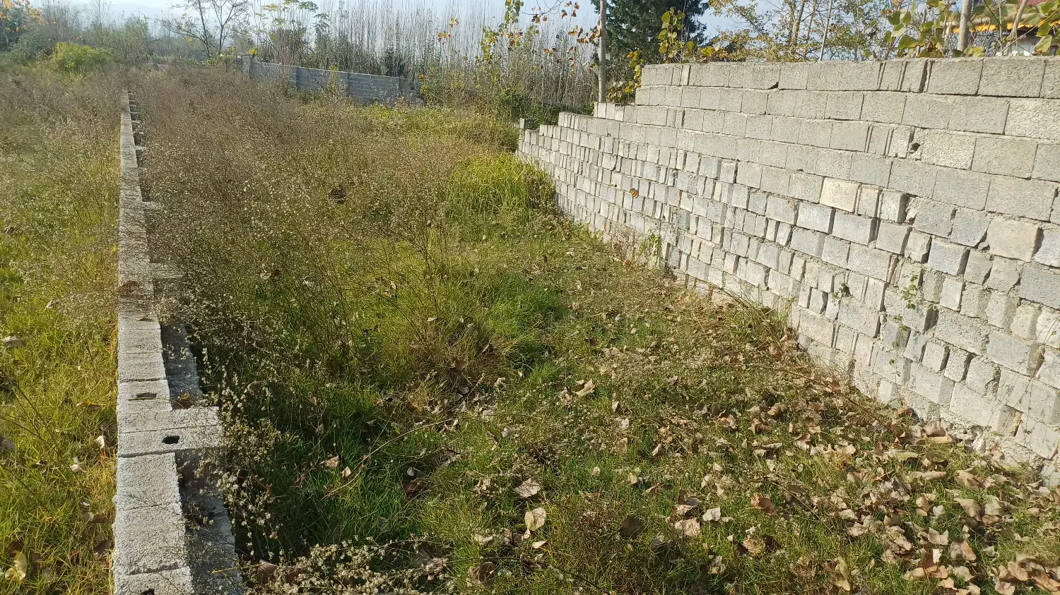 زمین 600 متری در پلت کله