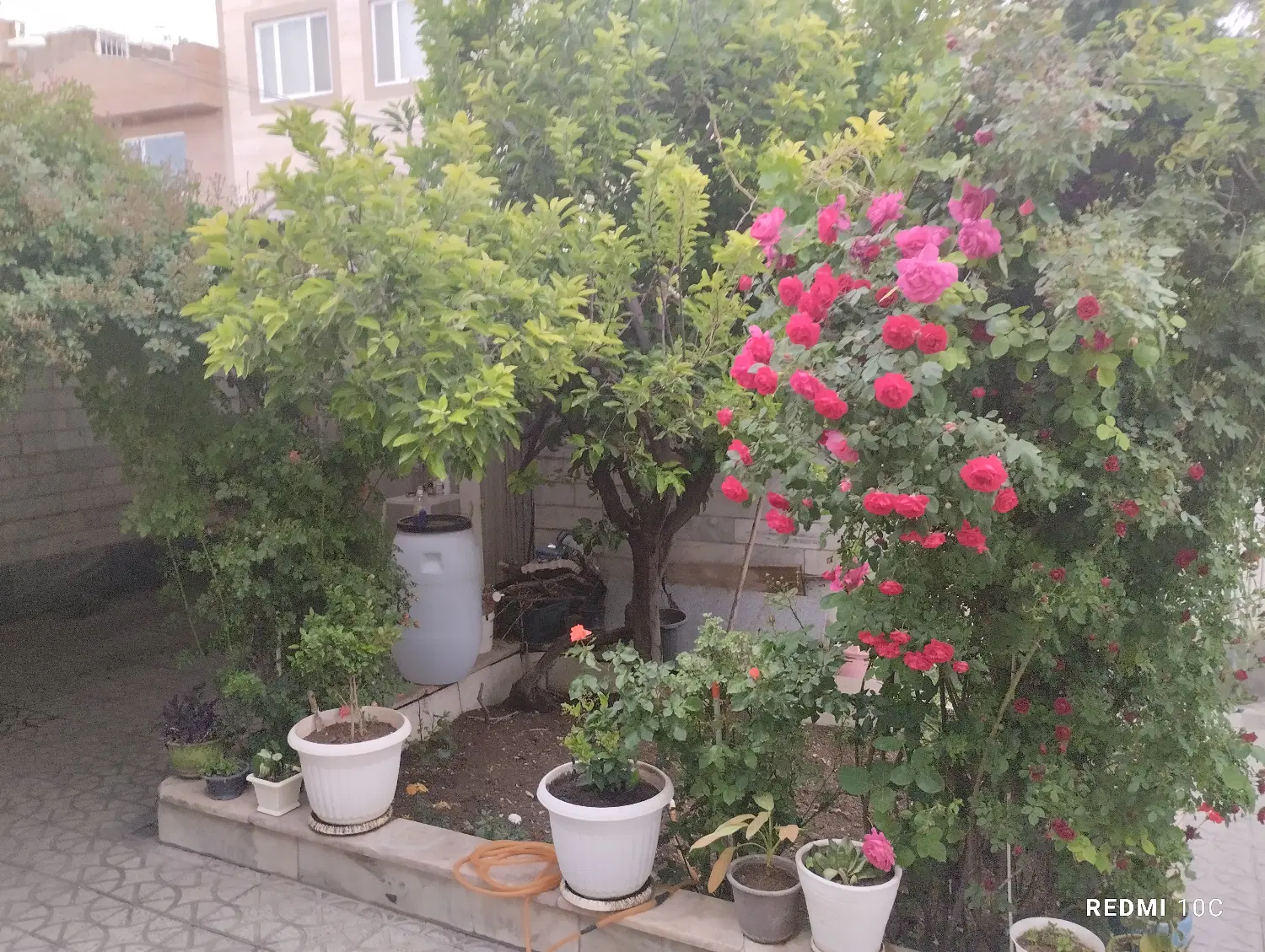 فروش زمین زراعی صنعتی
