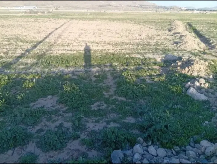 زمین آینده دار