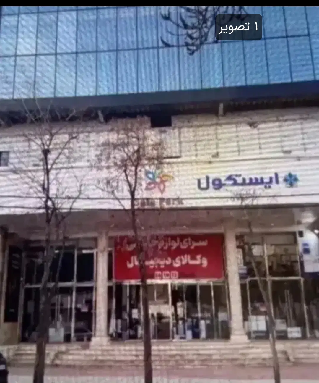 فیش صفا