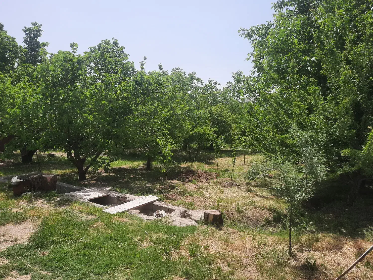 باغ ویلایی