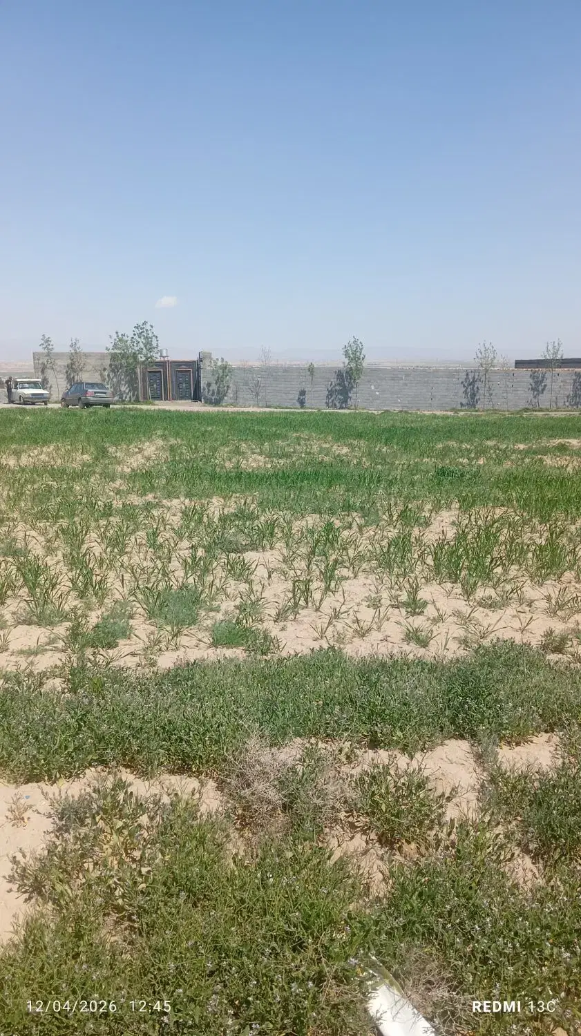 زمین 1000متری شاهنامه 36