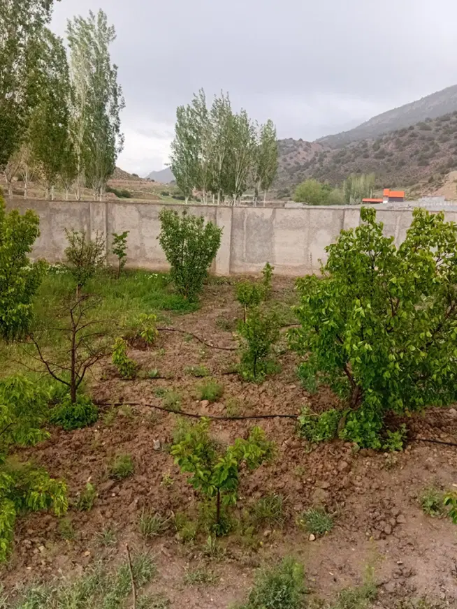چهارباغ