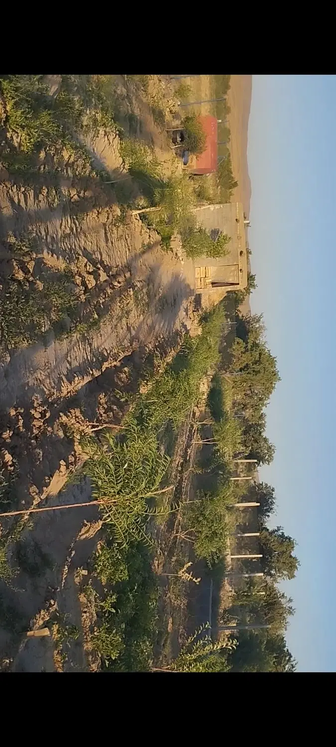 باغ