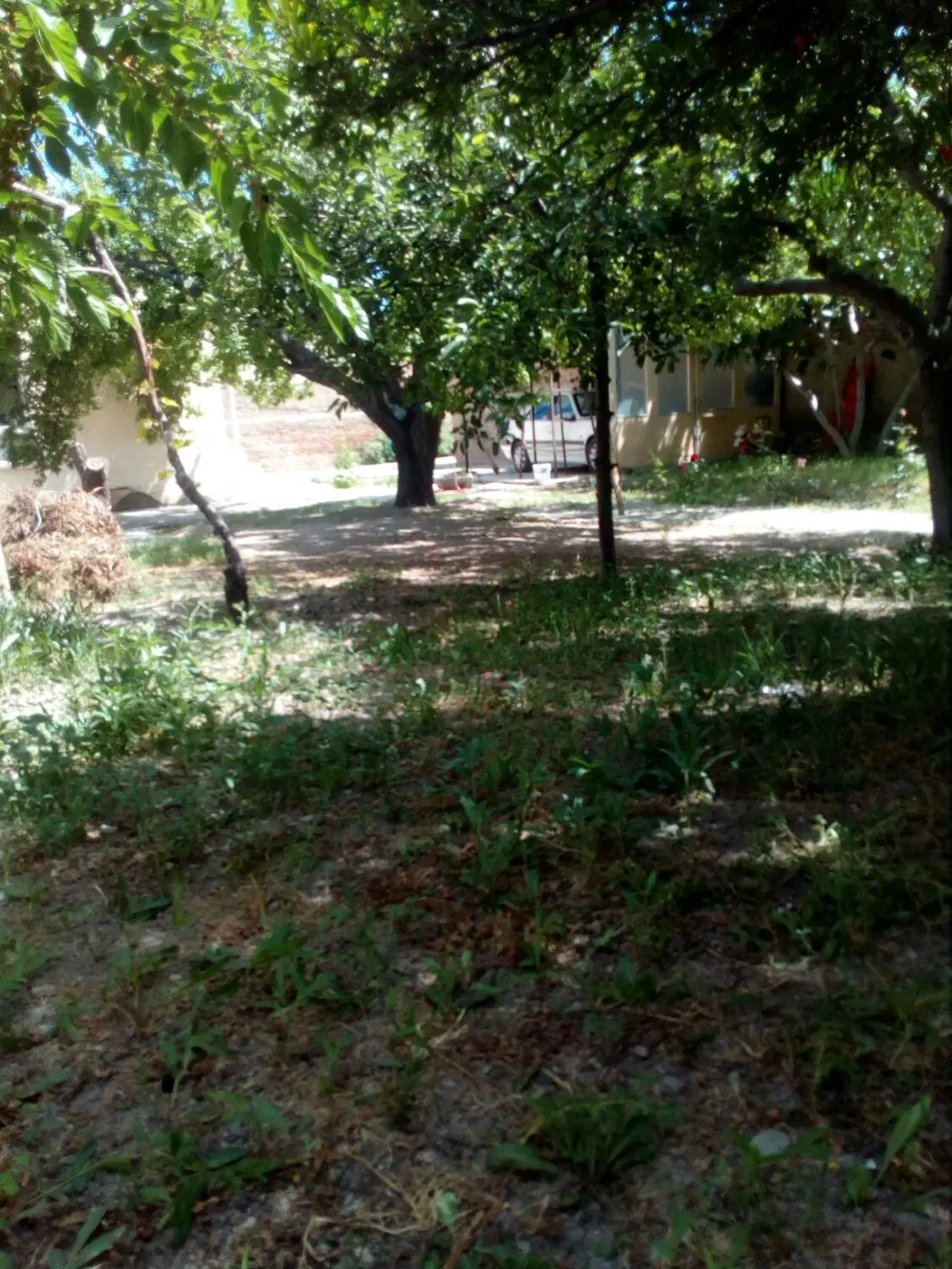 خانه باغ