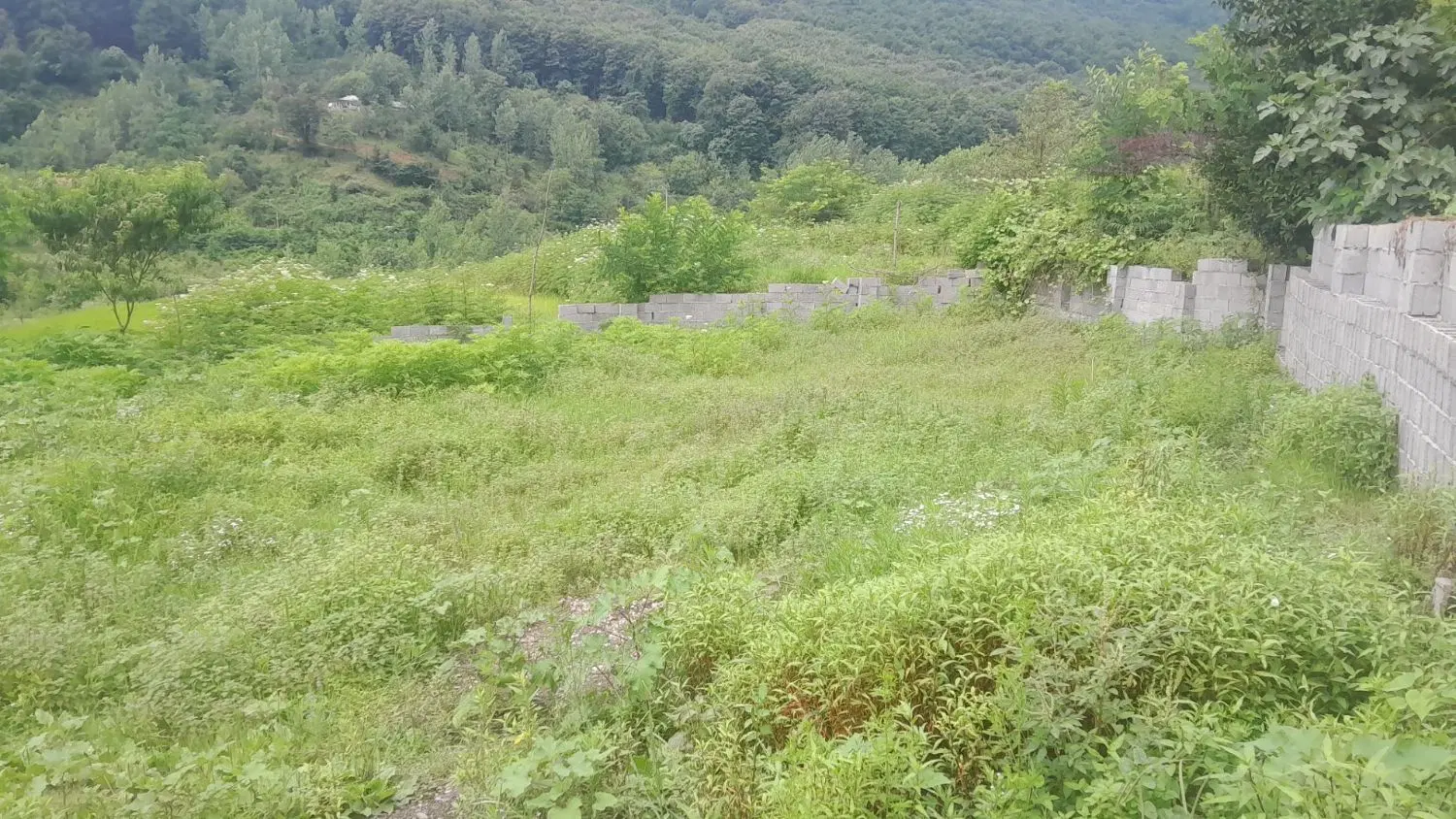 زمین فروشی