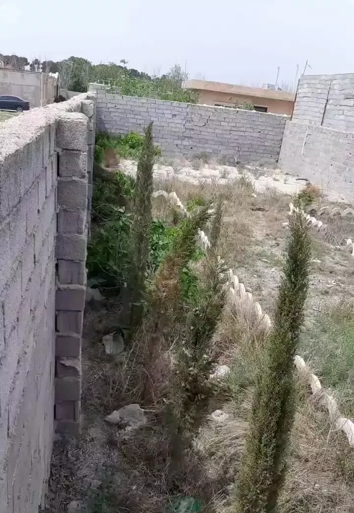 فروش باغچه