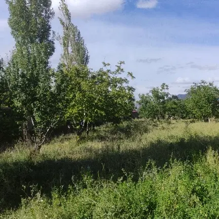 زمین محصور ویلایی سعید آباد کوی اختصاصی