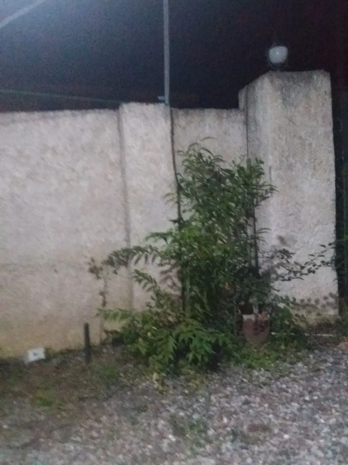 فروش ویلای کلنگی