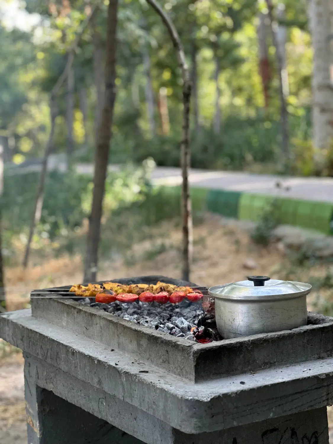 زمین باغی ۵۰۰متر انگور آلو