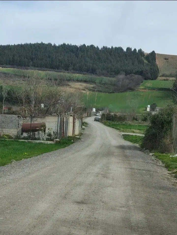 زمین مناسب برای خونه باغ در توشن