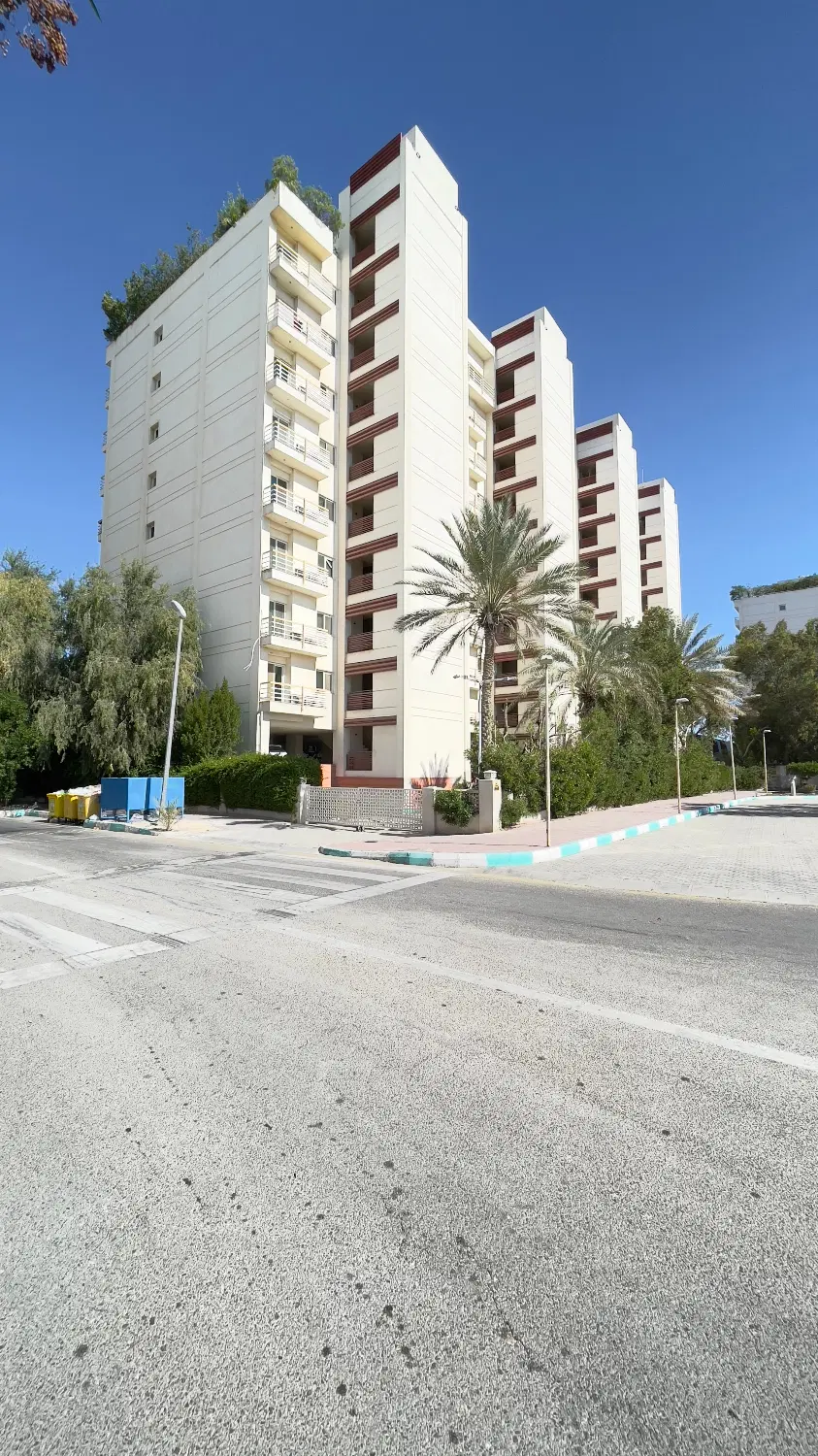 اجاره دامون 6