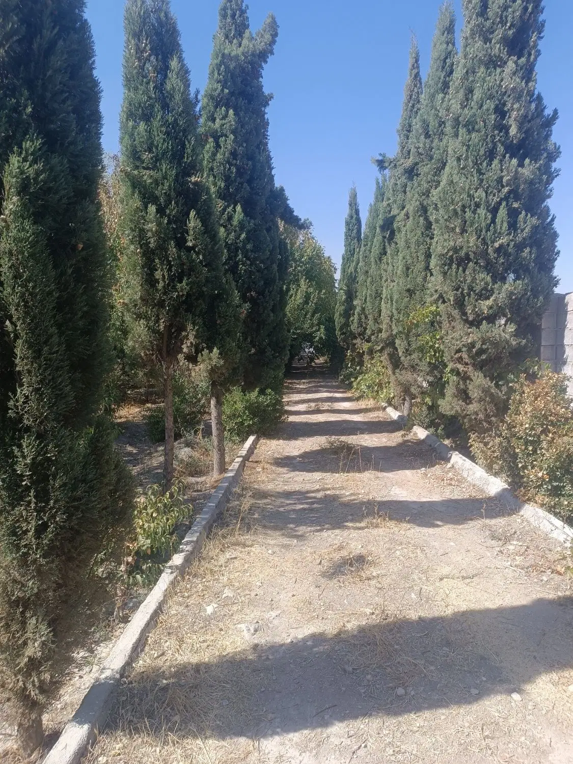 قواره زمین خونه بیدزرد