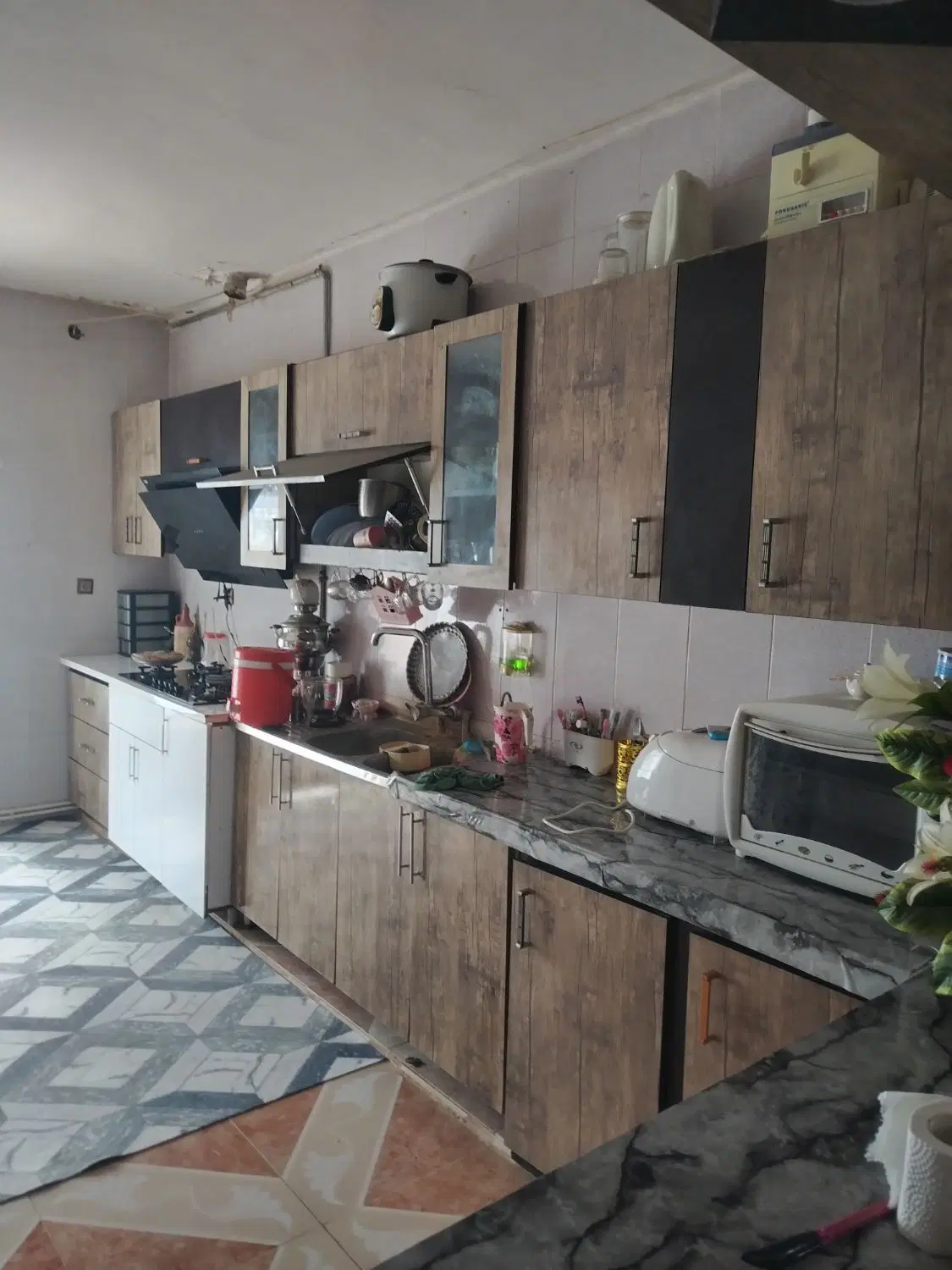 خانه مسکونی، ویلایی و درخت پسته