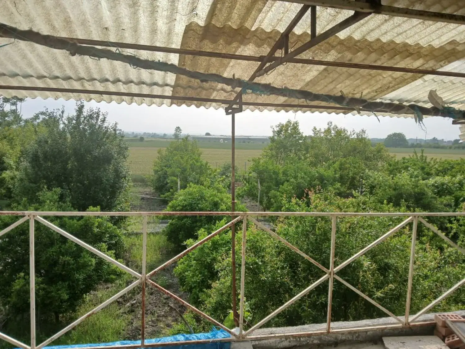 باغ ۷۵۰ متری در کلاجان قاجار