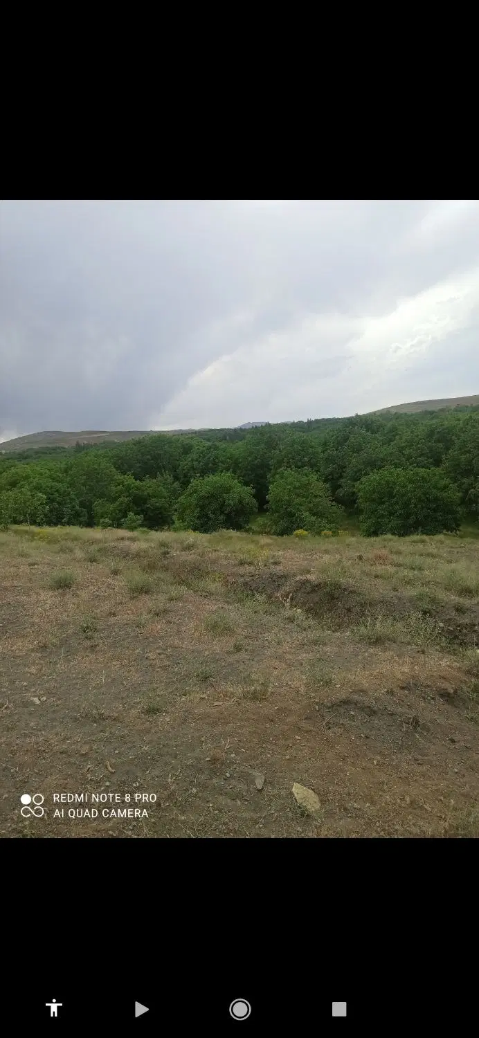 باغ گردو روستای ورکانه