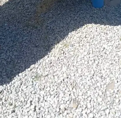 زمین کشاورزی