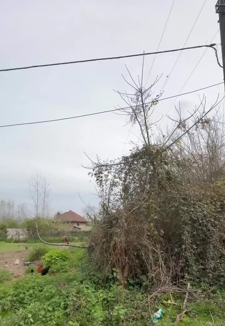 زمین 250 متری مسکونی با پروانه ساخت
