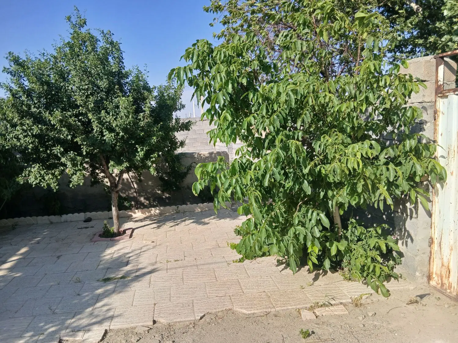 فروش فوری